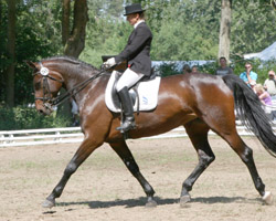 Zweifache Dressursiegerin in Schwarbe wurde Sabine Gold mit Sunny Time.